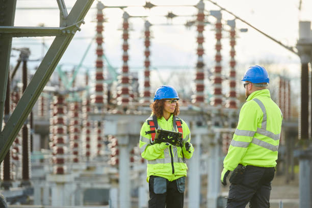 Best Electric Panel Repair  in Inez, TX